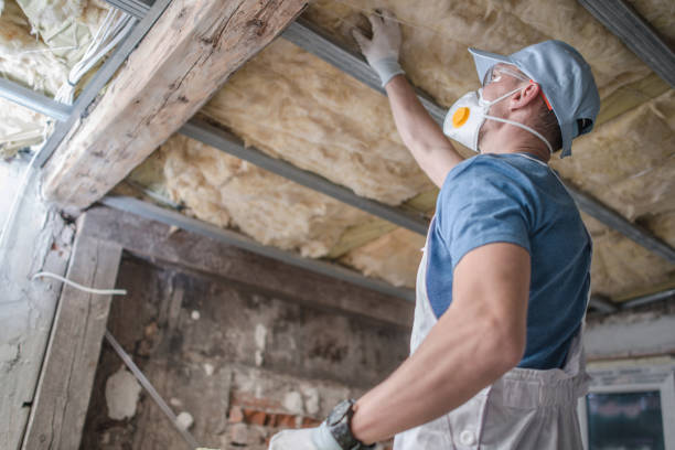 Best Commercial Insulation in Chaffee, MO