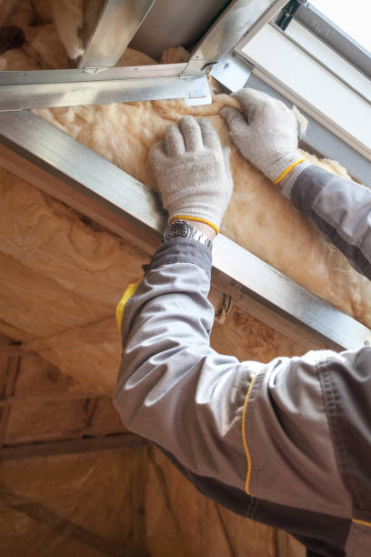 Best Residential Insulation in Chaffee, MO